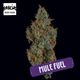 Mule Fuel Garcia Hand Picked Mule Fuel Garcia Hand Picked