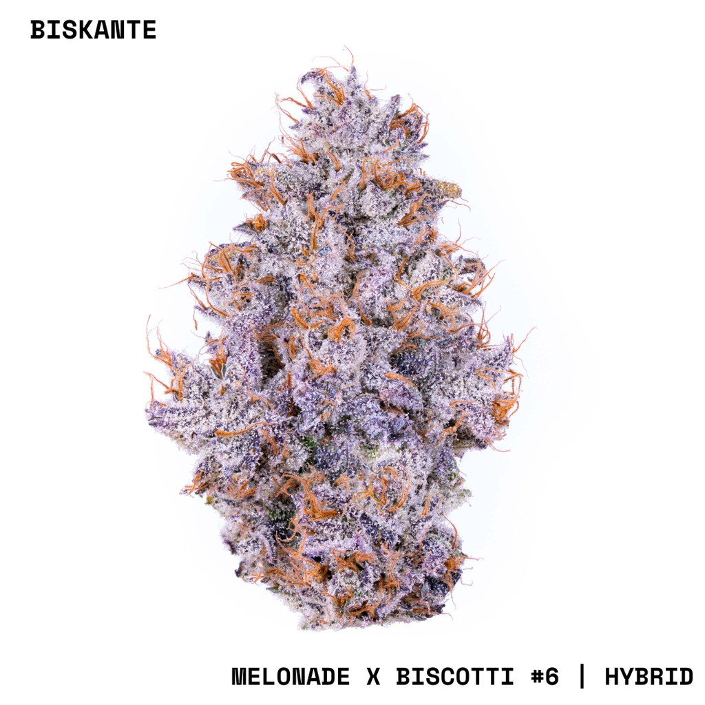 Alien Labs Biskante Flower, 3.5g - image 2