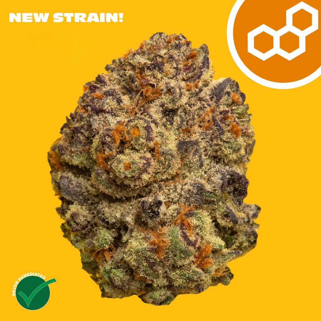 Theraplant Pinyatti Flower, 3.5g
