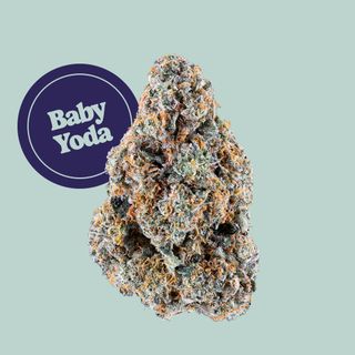 Baby Yoda Kind Tree