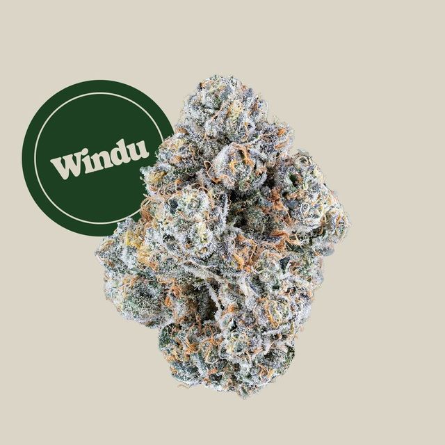 Windu Kind Tree Windu Kind Tree