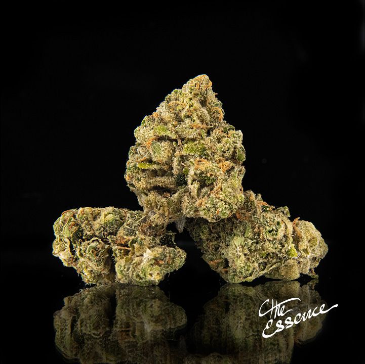 (the) Essence Gelato 41 Flower, 3.5g
