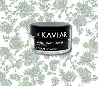 God of War Kaviar