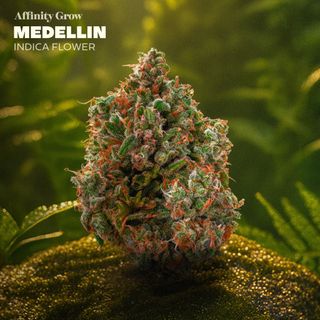 Medellin product
