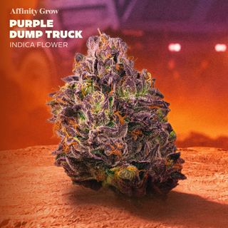 Purple Dump Truck product