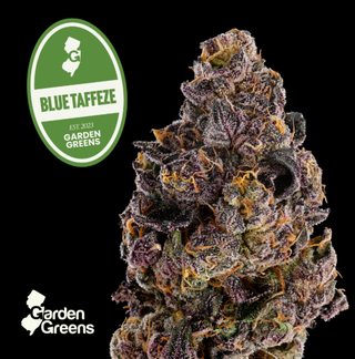 Blue Taffeze | 3.5g Flower Garden Greens
