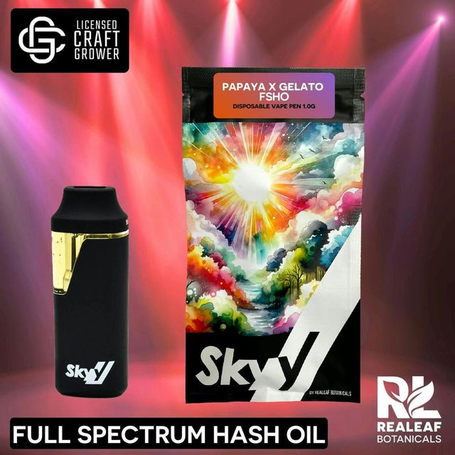Papaya X Gelato FSHO Skyy Papaya X Gelato FSHO Skyy