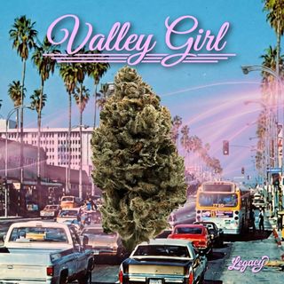 Valley Girl Legacy