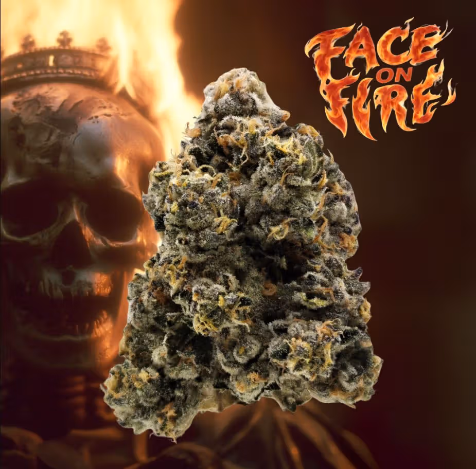 Face on Fire Legacy