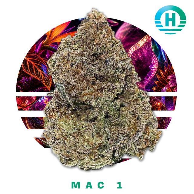 MAC 1 Ozone MAC 1 Ozone