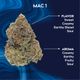 MAC 1 Ozone MAC 1 Ozone