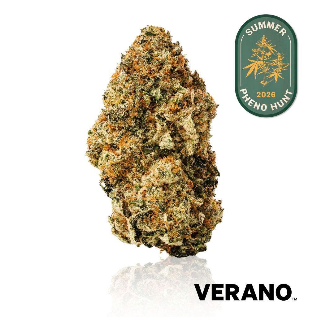 Verano Strawberry Fizz Whole Flower, 3.5g