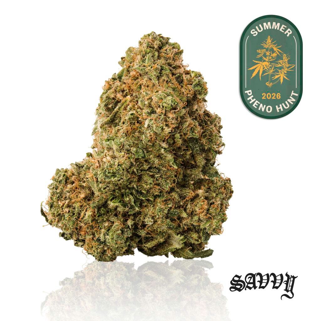 Savvy KiwiSrs x BblGm Whole Flower, 3.5g