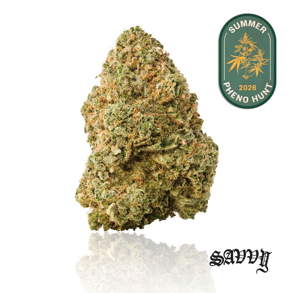Savvy KiwiSrs x Gva Whole Flower, 3.5g