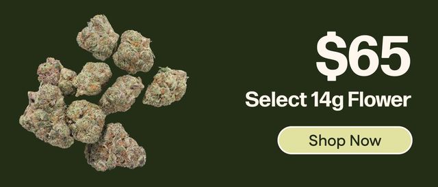 Cannabis Promo, Cannabis Sales, Cannabis Discounts, Cannabis on Sale, $65 - Select Strains of 14g Flower