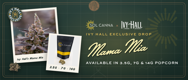 Cannabis Promo, Cannabis Sales, Cannabis Discounts, Cannabis on Sale, Ivy Hall x Sol Canna - Mama Mia Exclusive Strain Drop!