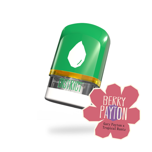 Berry Payton Gold District Cannabis