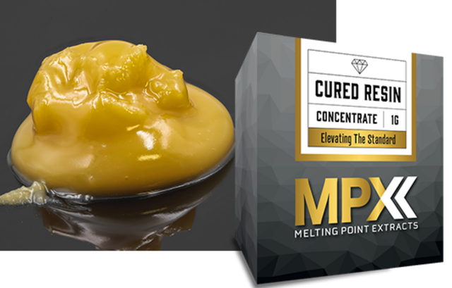 Platinum Lemon Cherry Gelato MPX