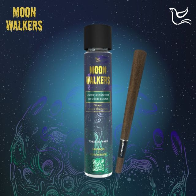 Candy Store Moon Walkers