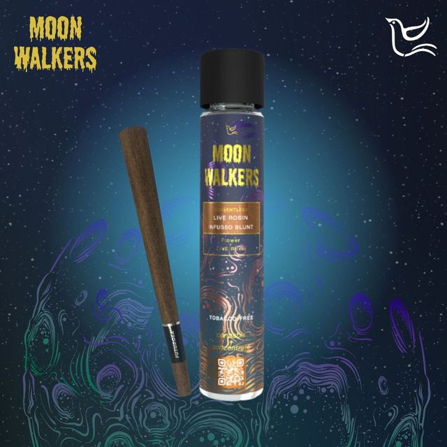 Son Goku Moon Walkers Son Goku Moon Walkers