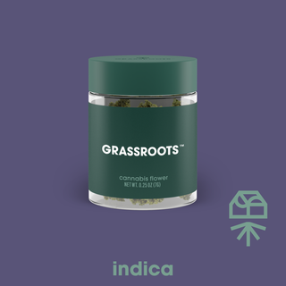 Facetz #12 Grassroots