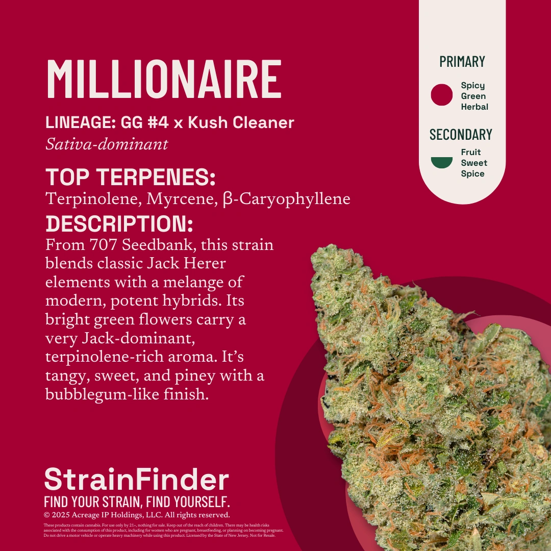 Millionaire The Botanist Millionaire The Botanist