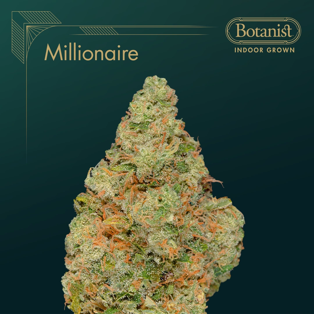 Millionaire The Botanist Millionaire The Botanist