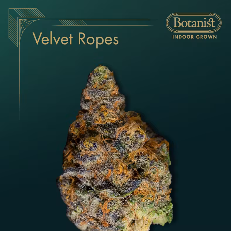 Velvet Ropes The Botanist Velvet Ropes The Botanist