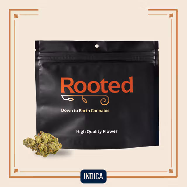 Gelato Ice Cream Rooted