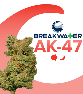 AK-47 | 3.5g Flower Breakwater