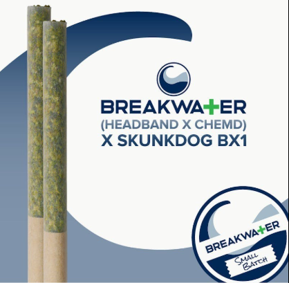 Headband x ChemD x Skunkdog Bx1 | 1g 2 Pk Pre-rolls Breakwater Headband x ChemD x Skunkdog Bx1 | 1g 2 Pk Pre-rolls Breakwater