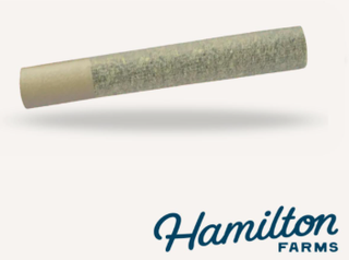 God's Breath | 1g Pre-Roll Hamilton Farms