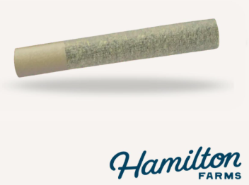 God's Breath | 1g Pre-Roll Hamilton Farms