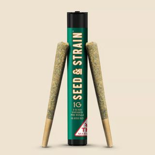 Red Berry Root Beer Seed & Strain