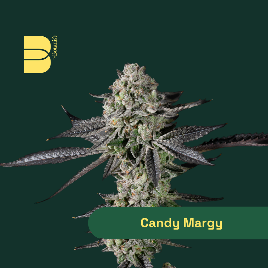 The Botanist Candy Margy Flower, 14g