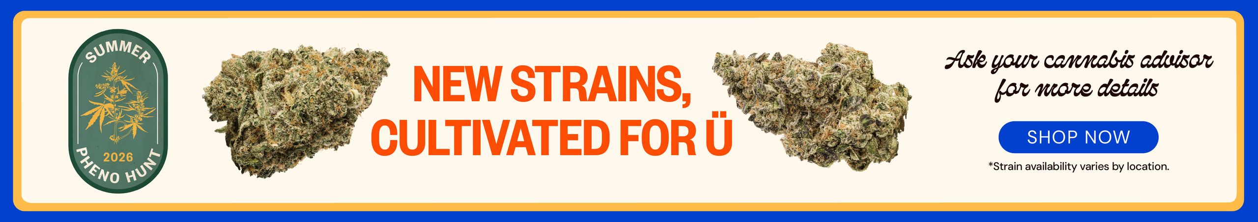Cannabis Promo, Cannabis Sales, Cannabis Discounts, Cannabis on Sale, New Phenos – Now Available!