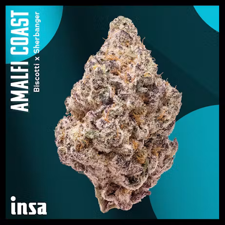 INSA Amalfi Coast Flower, 3.5g