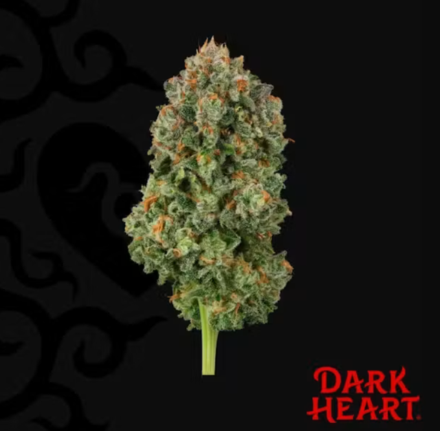 Blackened Blue Dark Heart