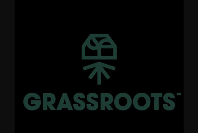 Pillow Mints Grassroots