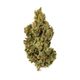 Durban Poison State Flower Durban Poison State Flower