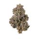 Granddaddy Purple State Flower Granddaddy Purple State Flower