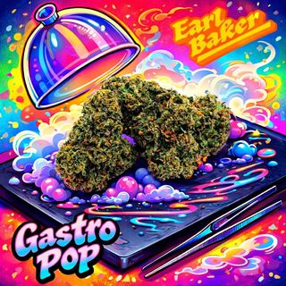 Gastro Pop product