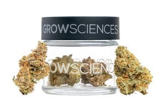 Dante Grow Sciences
