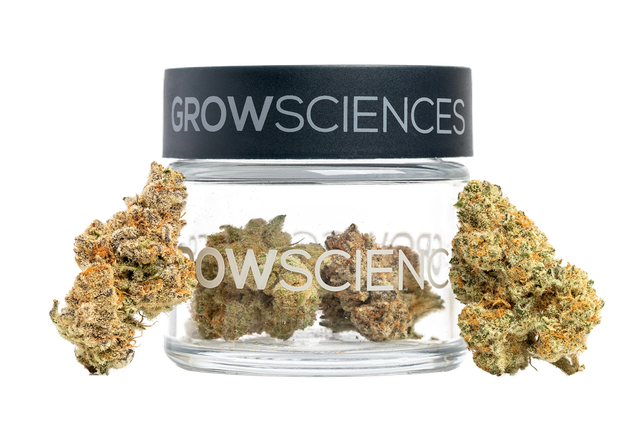 Dante Grow Sciences Dante Grow Sciences