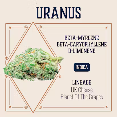 Uranus Elevate