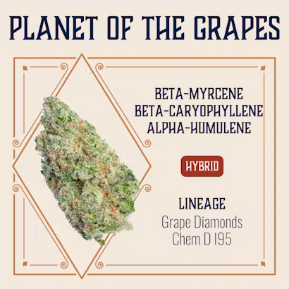 Planet Of The Grapes Elevate