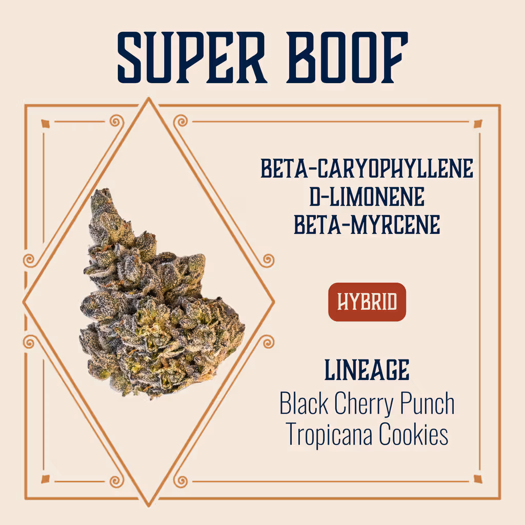 Super Boof Elevate