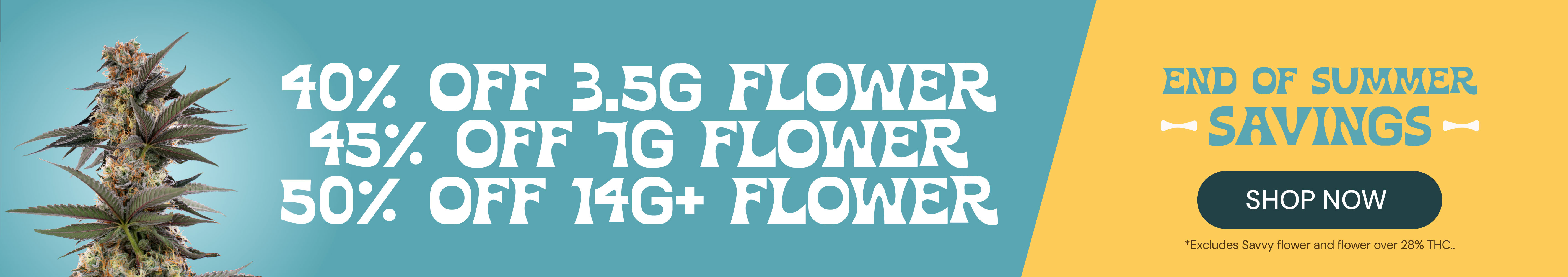 Up to 50% OFF Flower