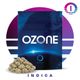 Pave Ozone Pave Ozone