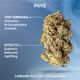 Pave Ozone Pave Ozone